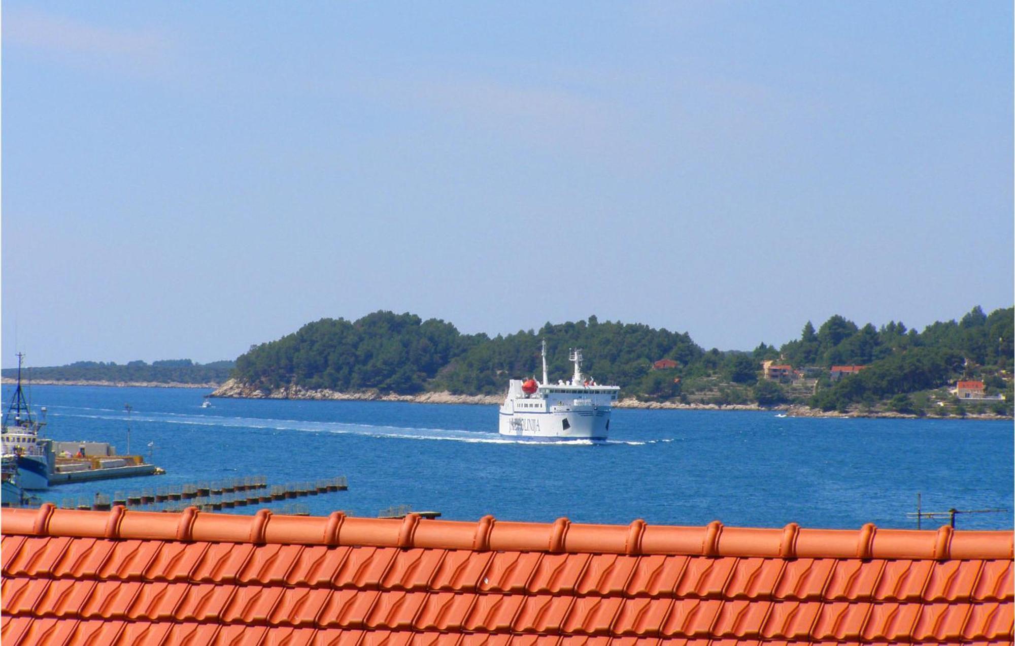Beautiful Apartment In Vela Luka With Wifi Buitenkant foto